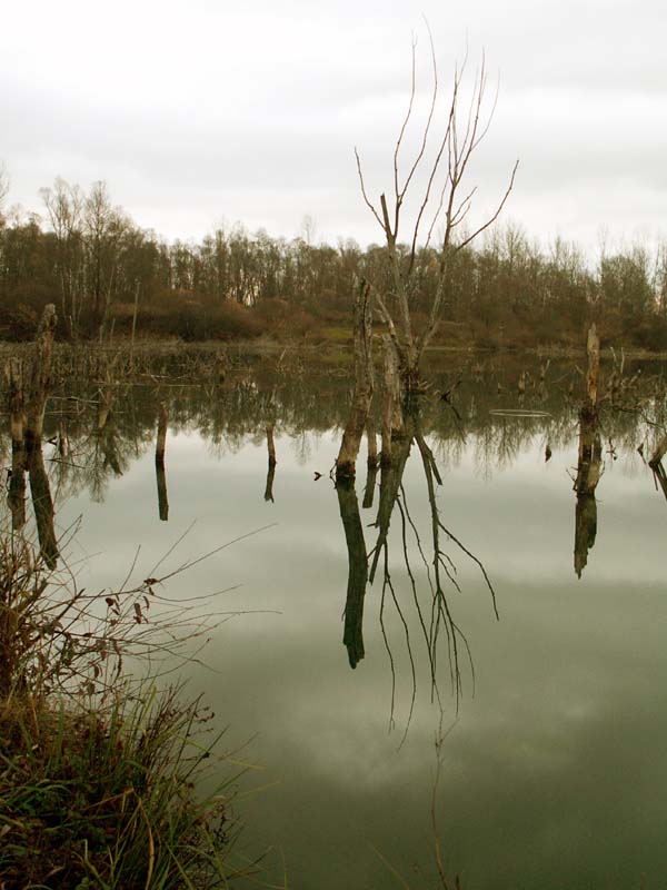 Just a lake nearby