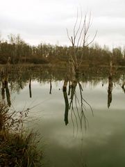 Just a lake nearby