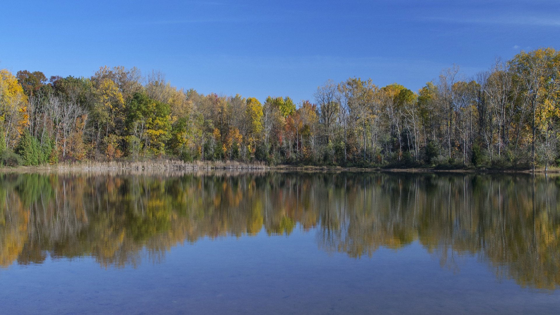 Just a quiet moment of reflection