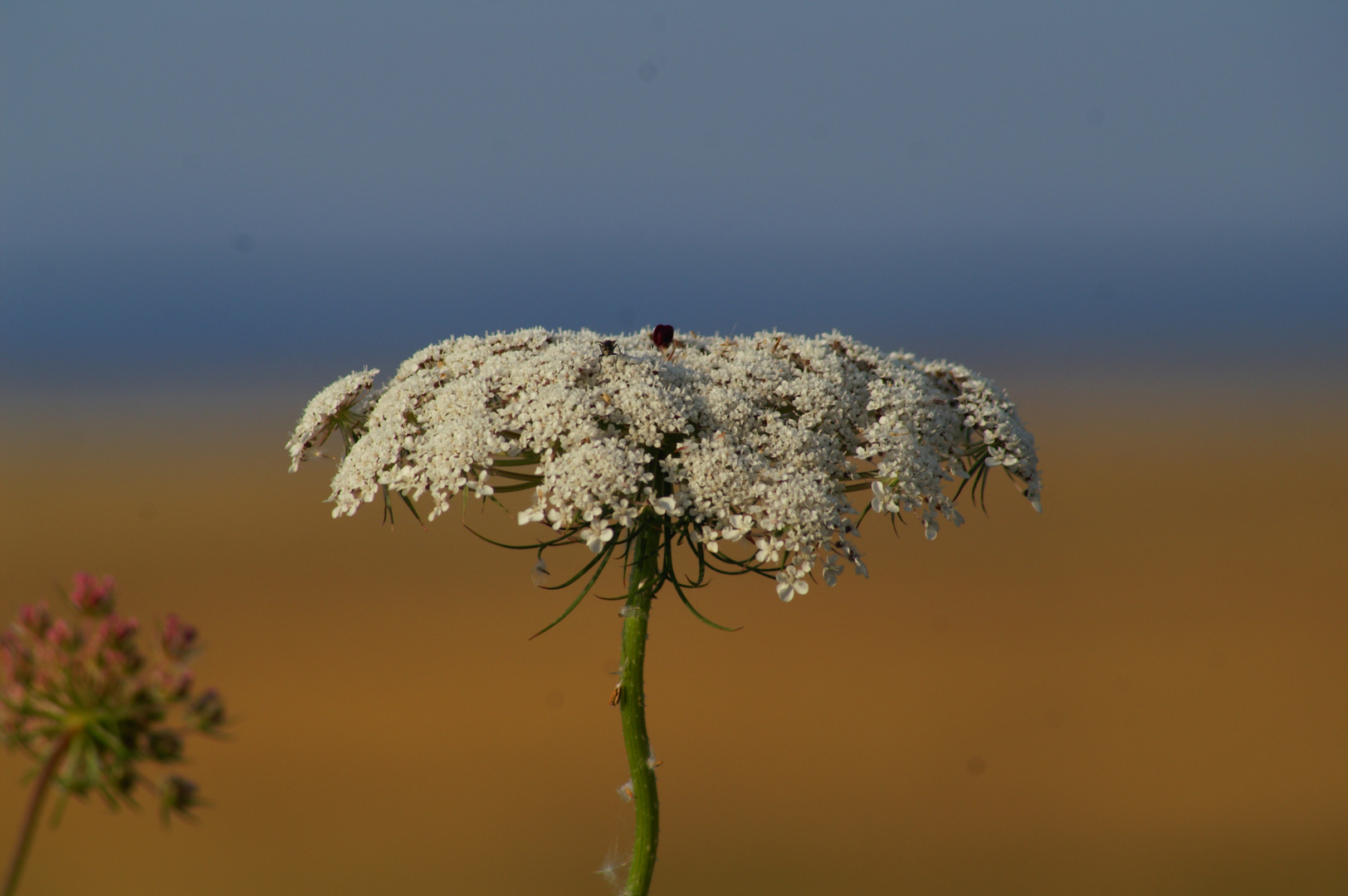 Just a shot on the side of the road