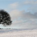 just a tree