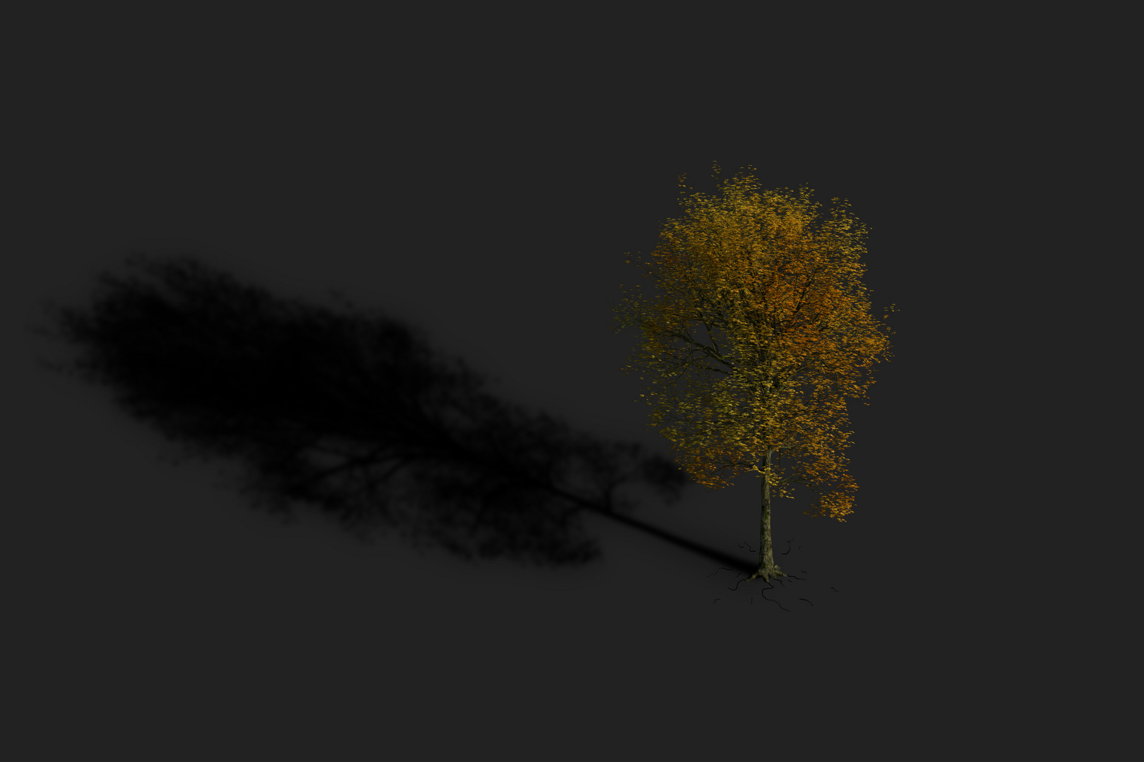 just a tree in fotocommunity...