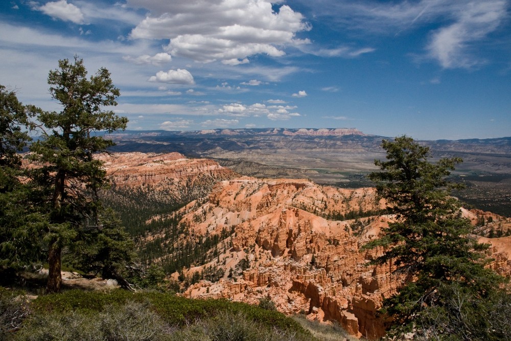 just A view, bryce canyon