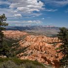 just A view, bryce canyon