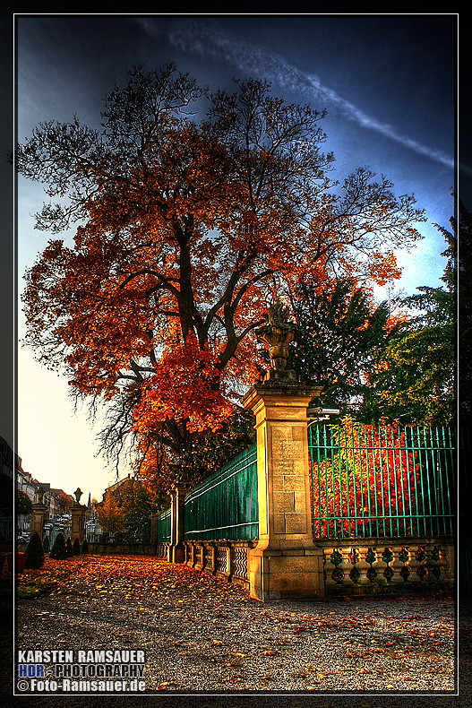 "Just a wonderful fall day"