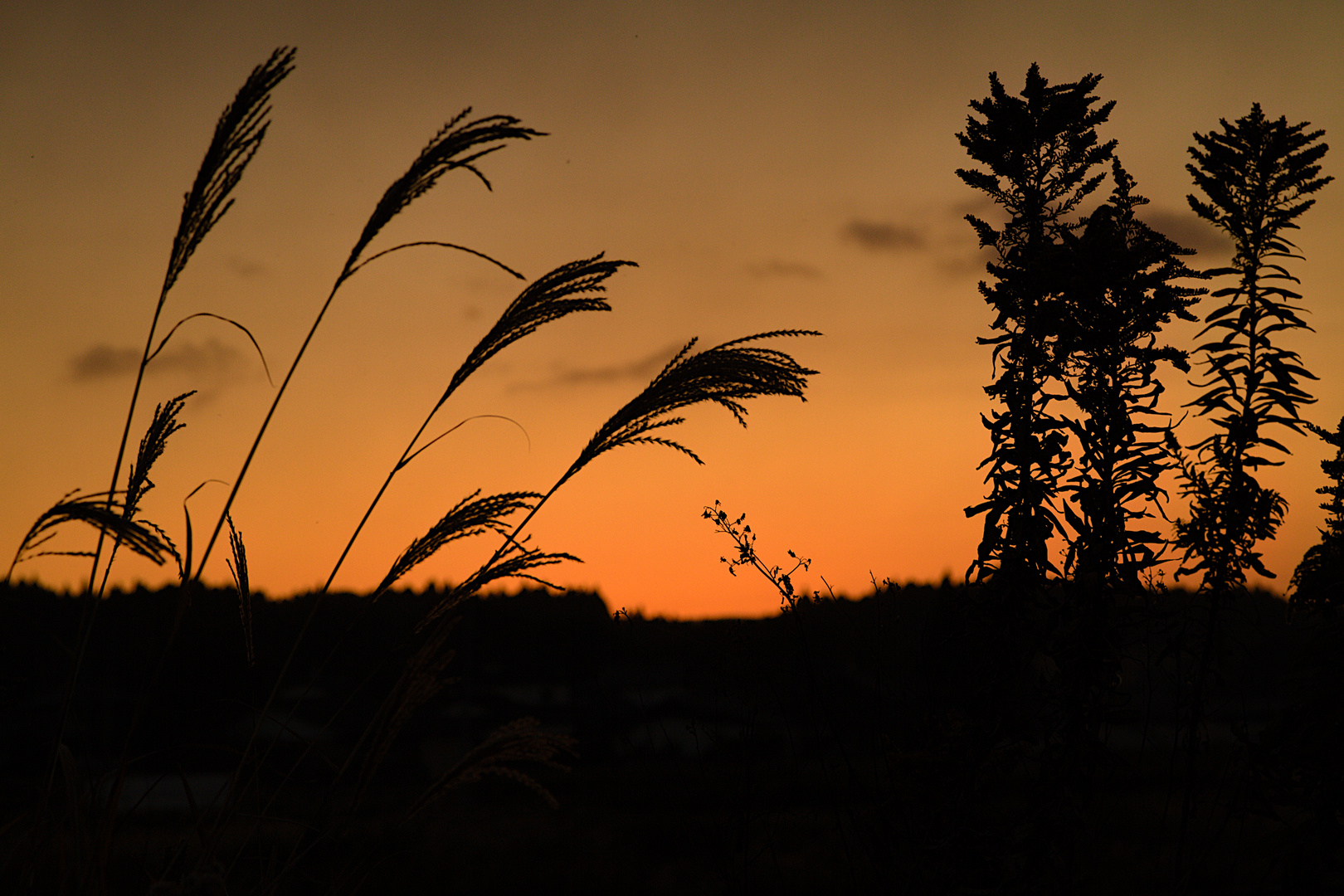 Just after sunset