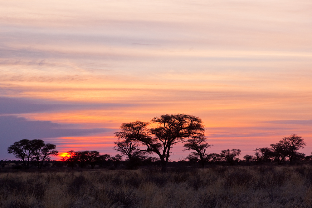 Just another african sunrise