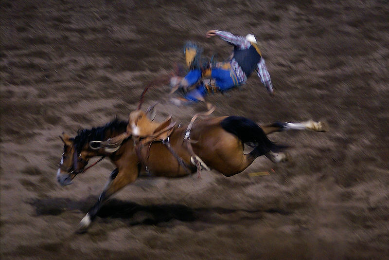 Just another night at the Rodeo
