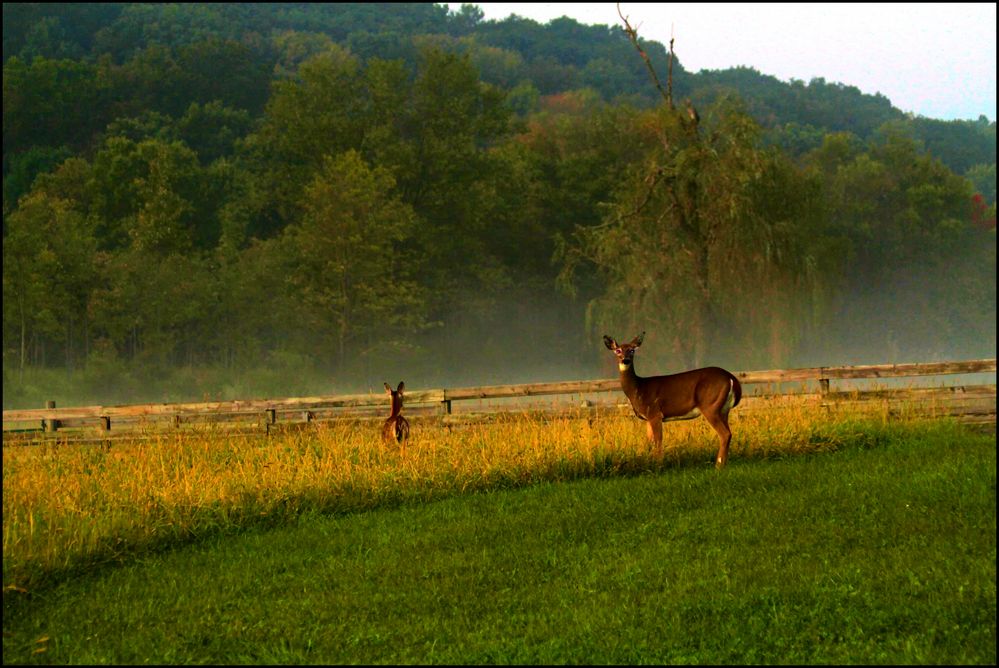 Just as the fog was rolling in....