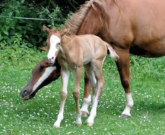 Just born