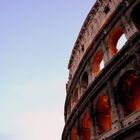 Just.. Colosseo