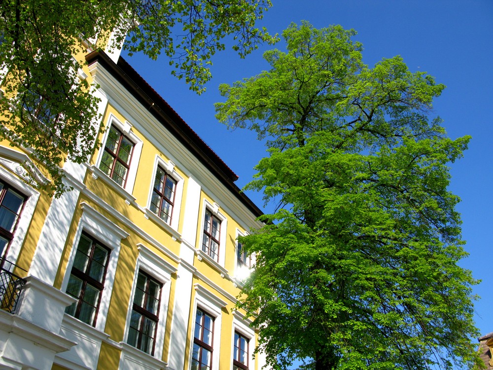 JUST GREEN - Landtagsgebäude in Magdeburg am Domplatz - 2