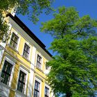 JUST GREEN - Landtagsgebäude in Magdeburg am Domplatz - 2