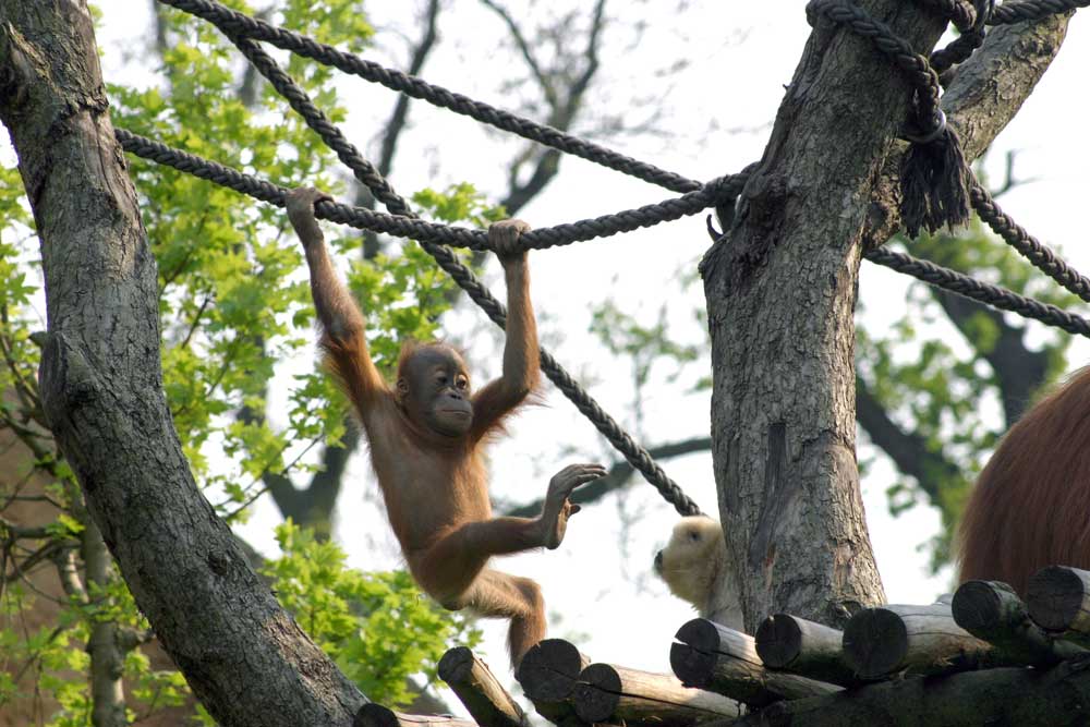 Just hanging around