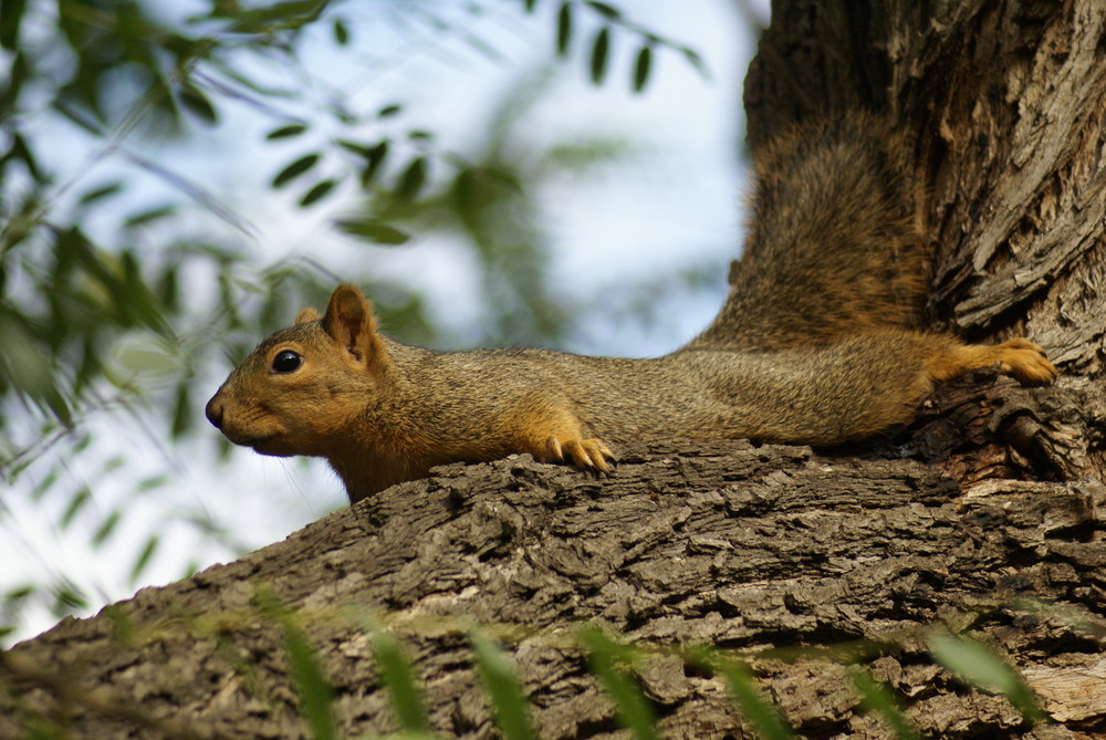 just hanging out...