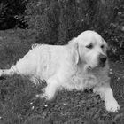 just lying on the cold beautiful meadow