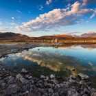 Just Mono Lake 