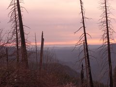 Just outside Yosemite