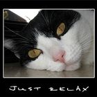 Just relax