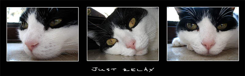 Just relax