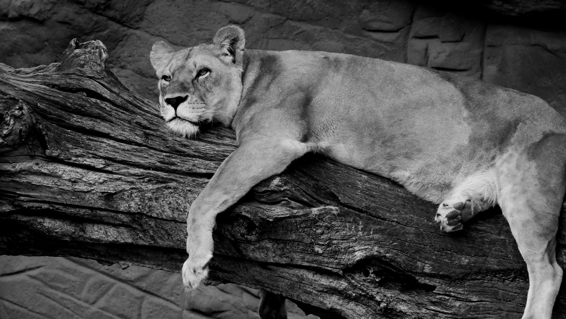 Just relax und ein schönes Wochenende! :o)