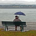 Just sitting in the rain