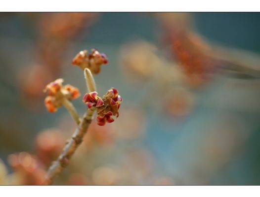 * just the way you are *