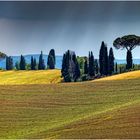 Just Tuscany