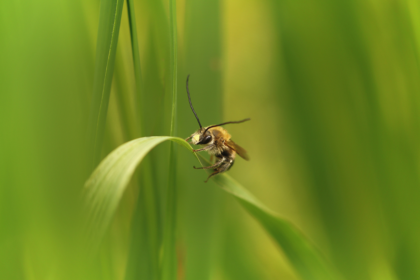 Just Up Foto Bild Foto Des Jahres Lebensr ume Natur Bilder Auf just-up-foto-bild-foto-des-jahres-lebensr-ume-natur-bilder-auf