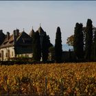 just'avant les vendanges