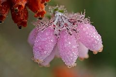 juste après la pluie !!