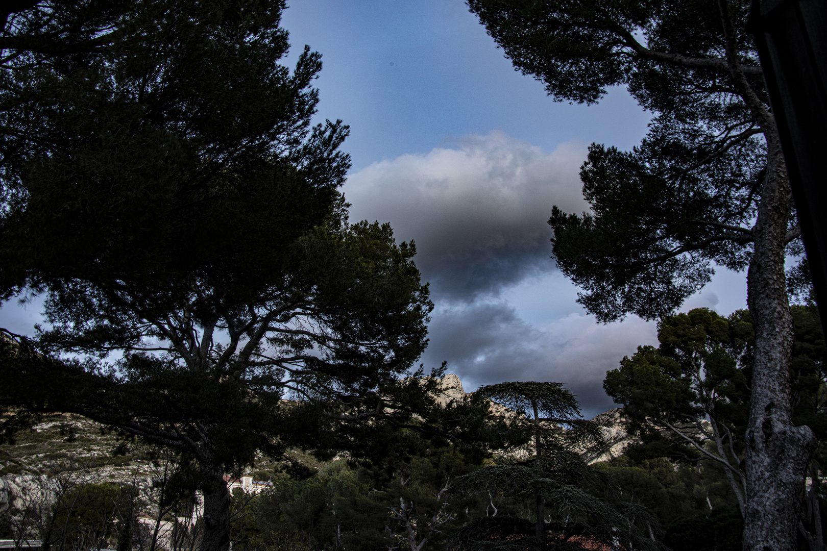 Juste aprés la pluie