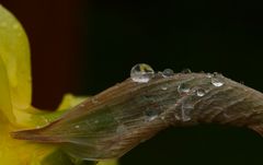 juste après la pluie !!!