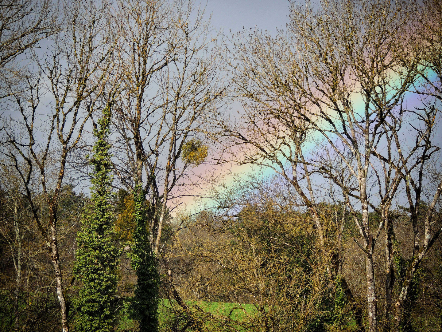 Juste après  la pluie