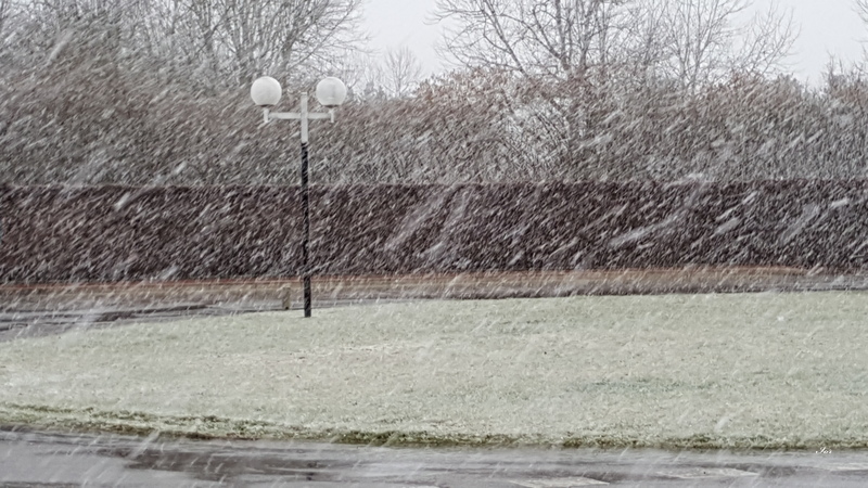 Juste après une averse de pluie !!!?