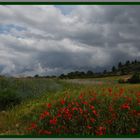 juste avant l'orage