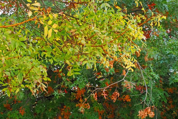 Juste en levant la tête…