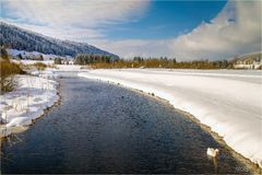 Juste un "cygne"....