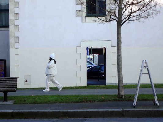 Juste un flocon de neige pour vous souhaiter la bonne année