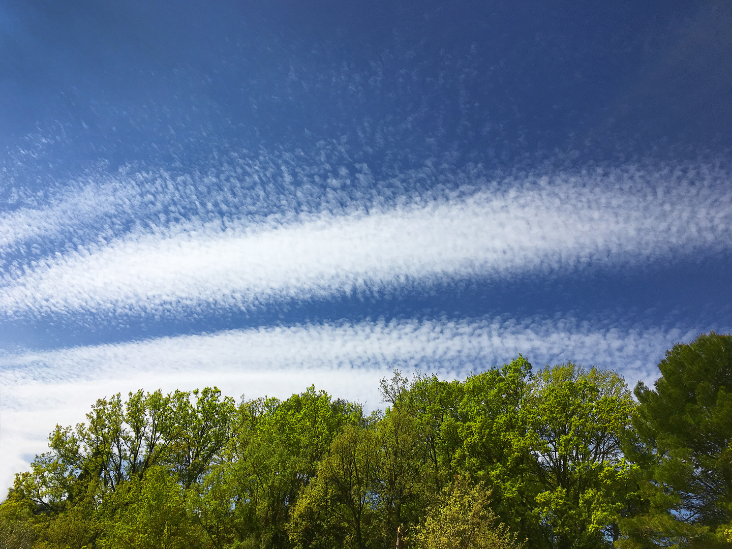 Juste un nuage....