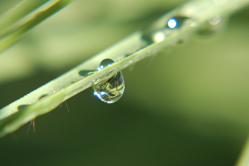 Juste une goutte d eau !