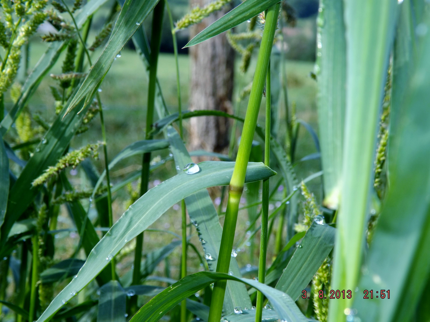 juste une goutte d'eau