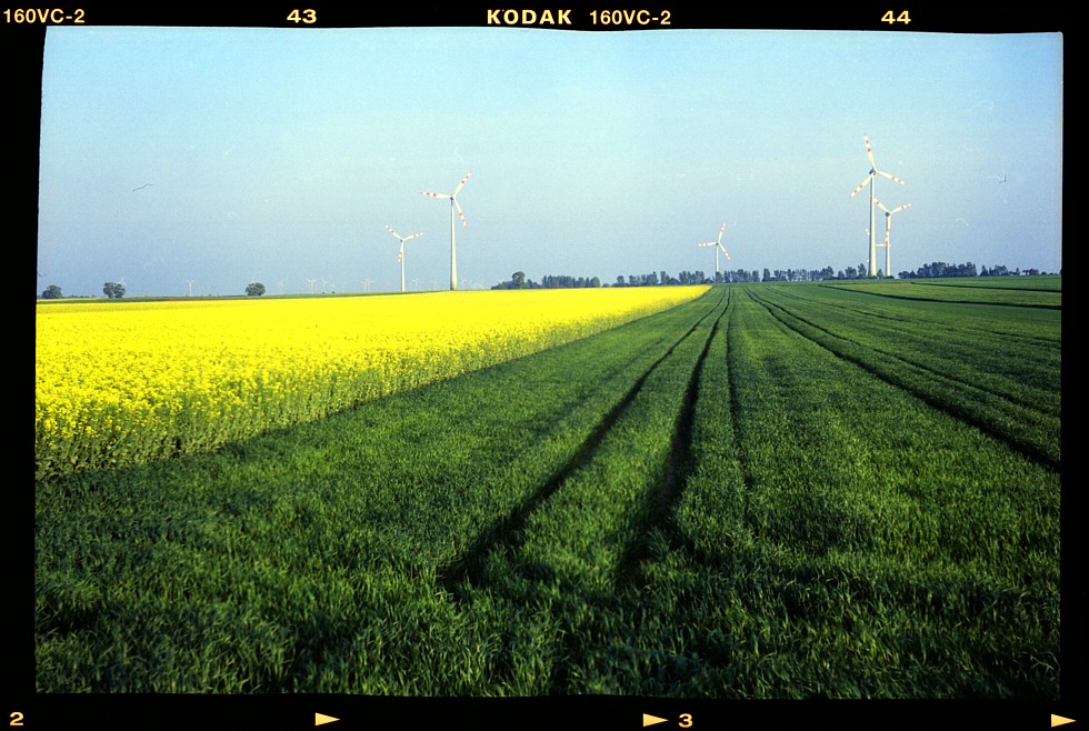 Juujuuu! Meine kann nicht nur quer sondern auch bunt!   :-p