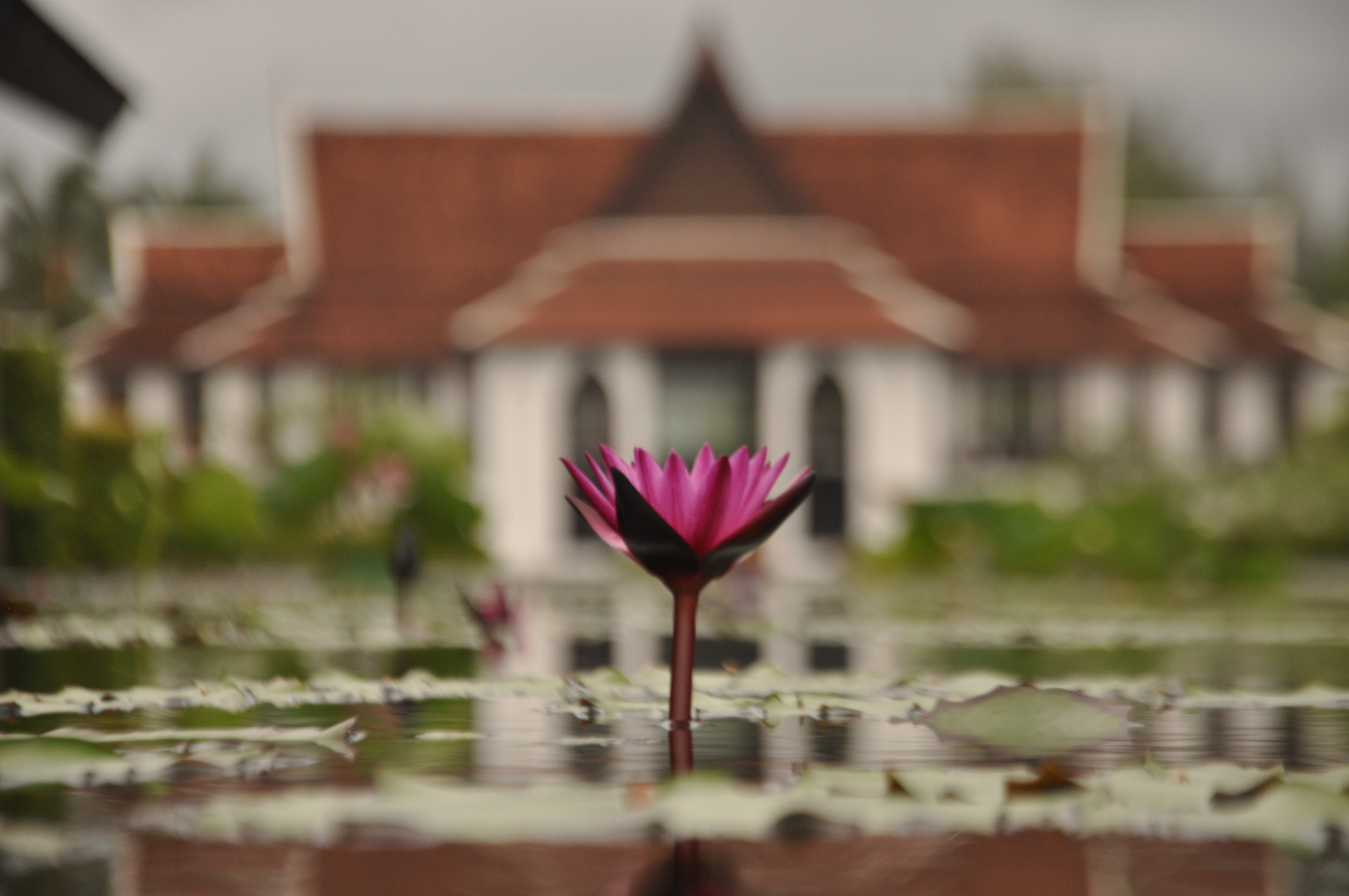 JW Marriott Khao Lak Resort