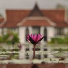 JW Marriott Khao Lak Resort