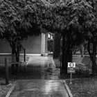 j'y suis allé: la pluie éteignait les cigarettes