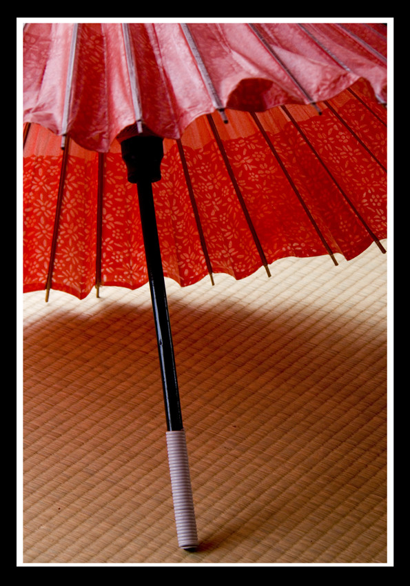 Jyanome Kasa [Japanese Old Umbrella]