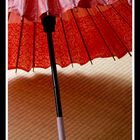 Jyanome Kasa [Japanese Old Umbrella]