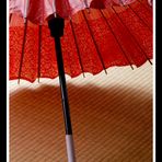 Jyanome Kasa [Japanese Old Umbrella]