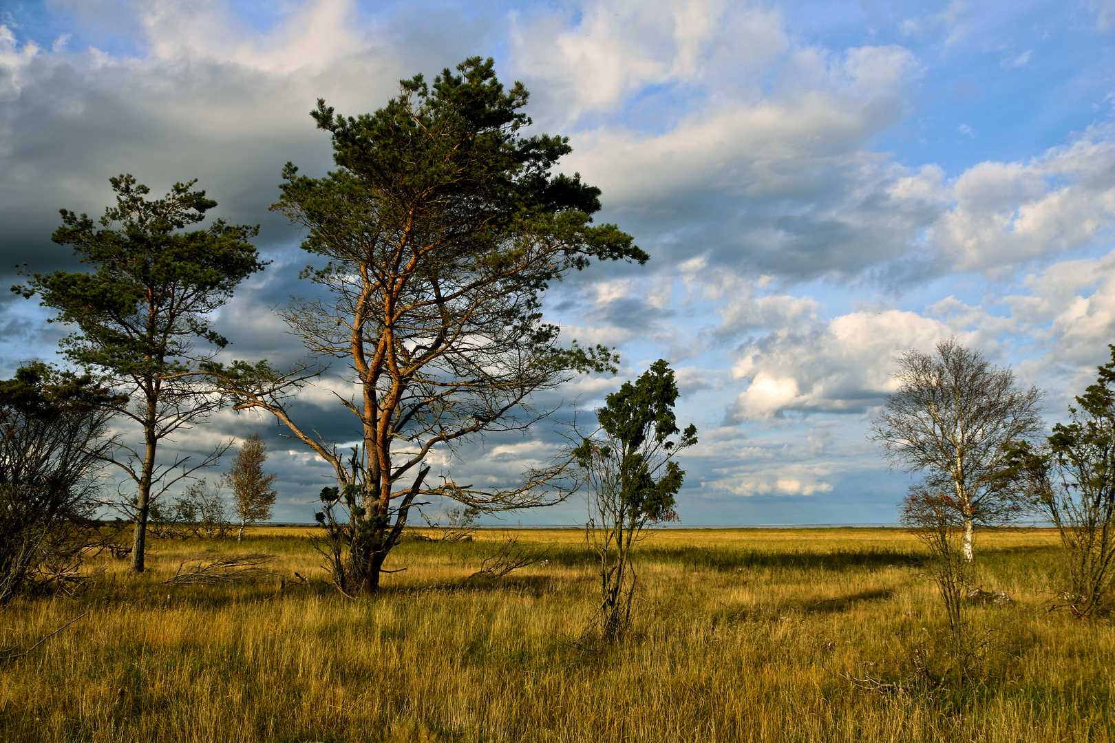 Jyllands Eastern Shore